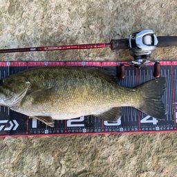 スモールマウスバス