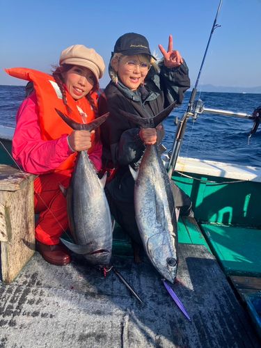 ビンチョウマグロの釣果