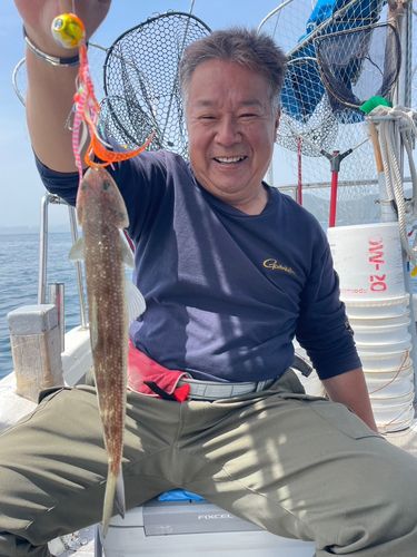 エソの釣果