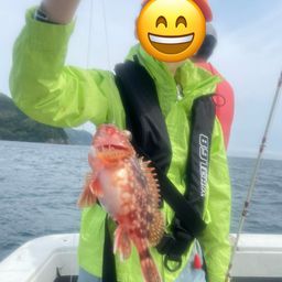 アマダイ
