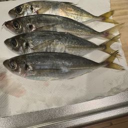 アジ