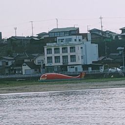 サヨリ