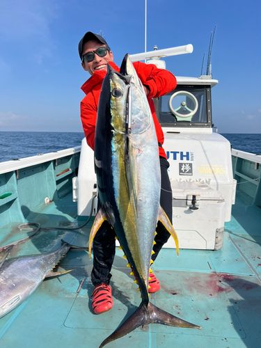キハダマグロの釣果