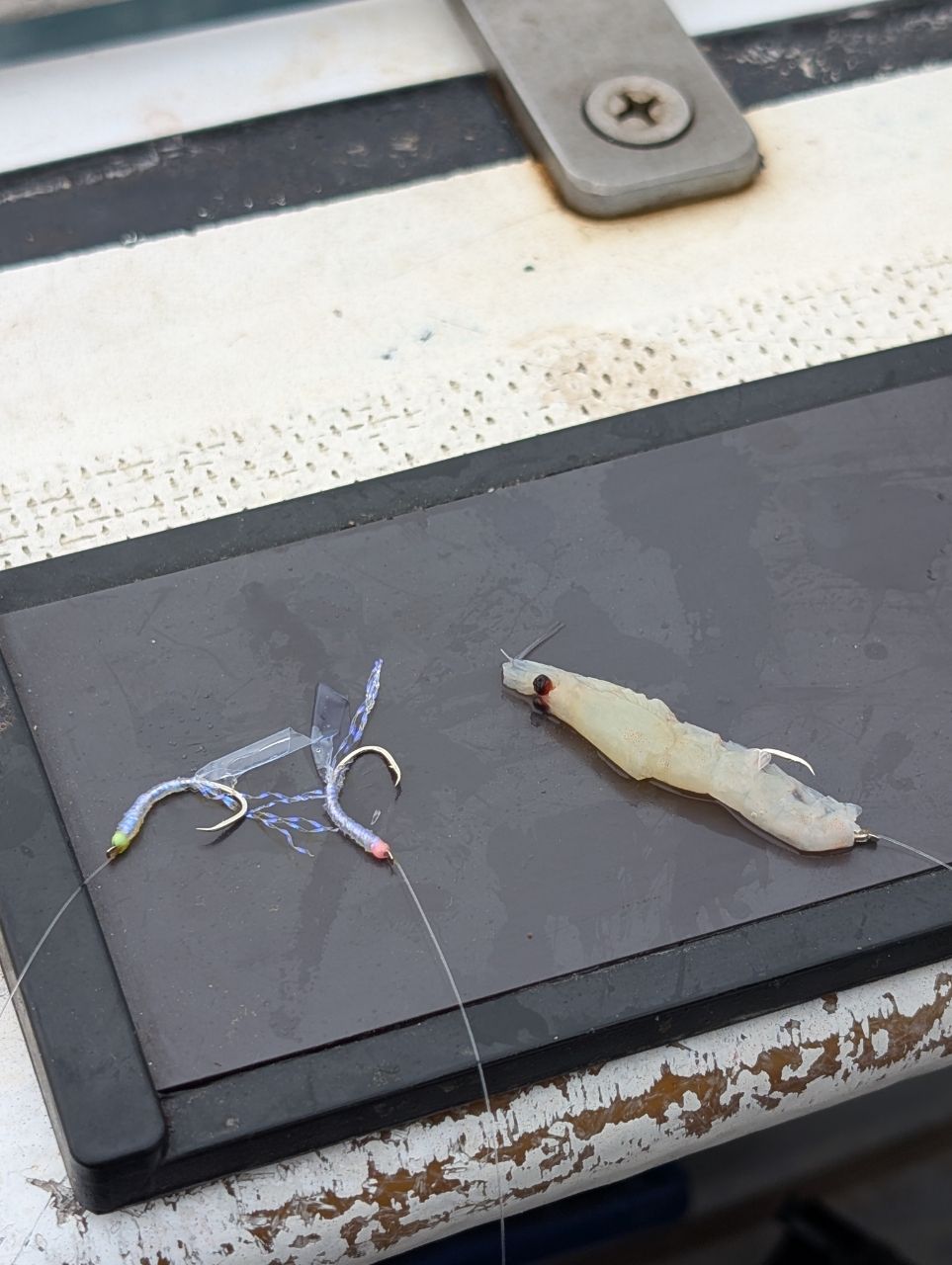 リリースサイズさんの釣果 2枚目の画像