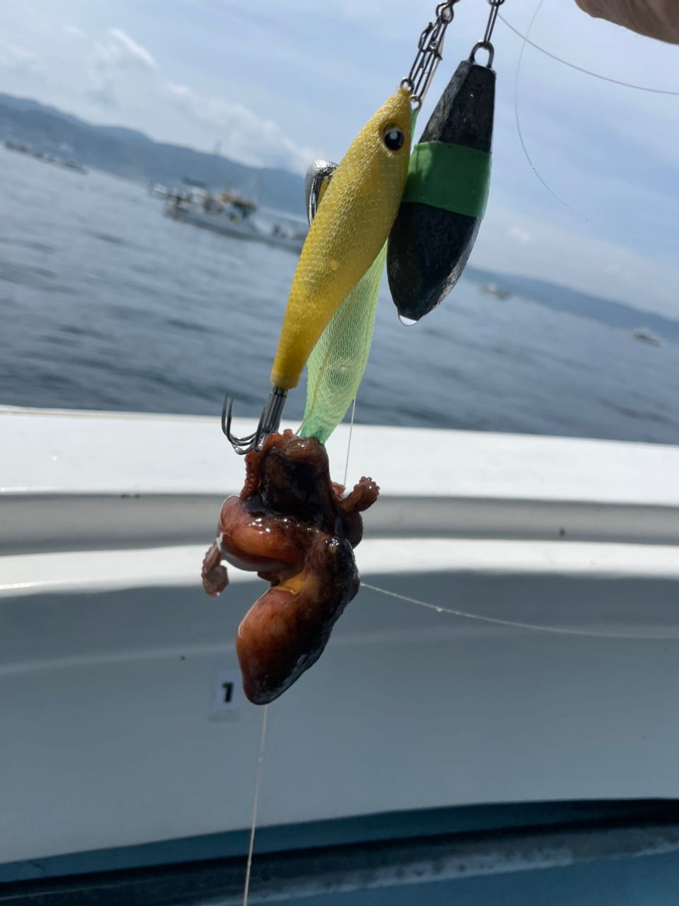 DAIWA 15キャタリナ BJ 200SHの最安値・インプレ・釣果 | 本音の口コミ