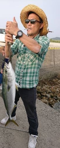 ブリの釣果