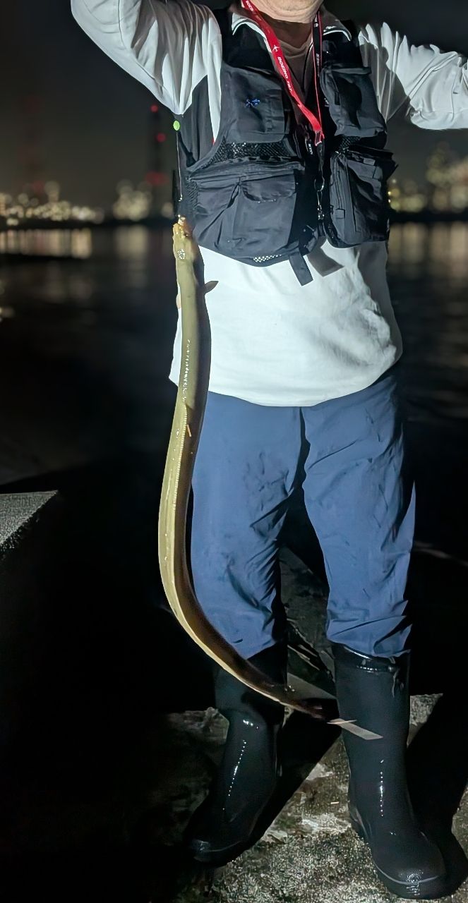 ウナギ