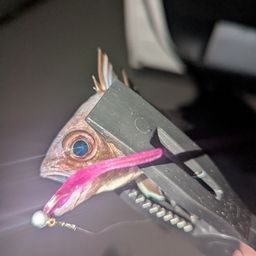 イシモチ