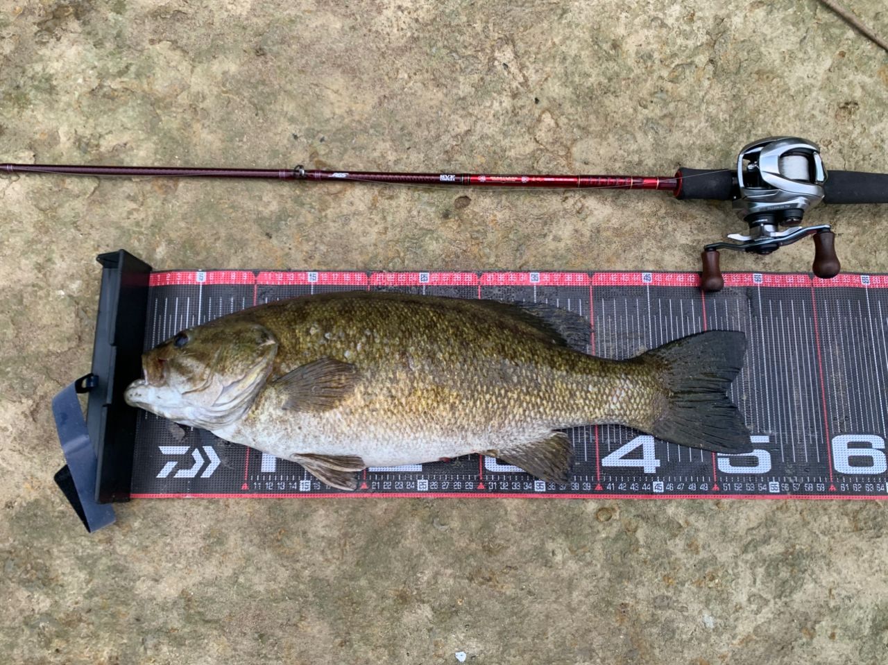 スモールマウスバス