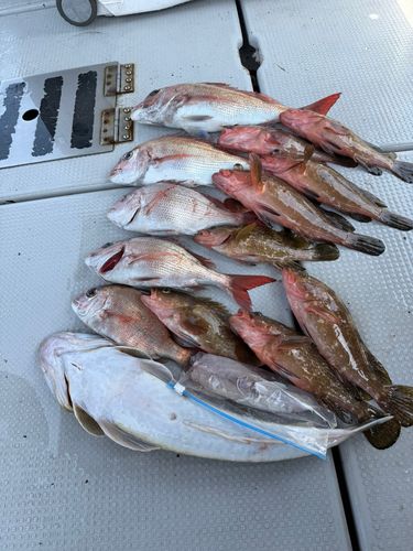 釣果