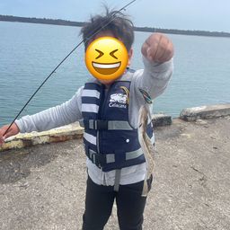 ヒラメ