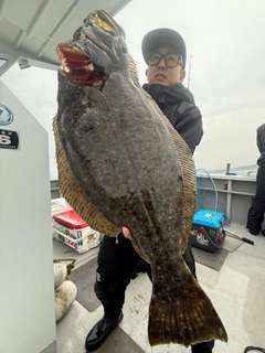 ヒラメの釣果