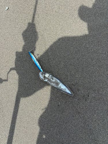ウシノシタ