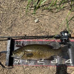 スモールマウスバス