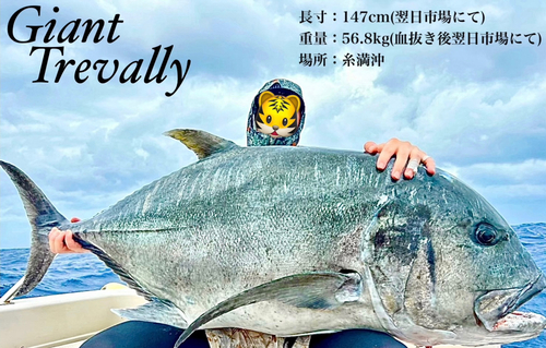 【新品、本物、当店在庫だから安心】 アザハタの釣果・釣り情報まとめ【2025年最新】 - アングラーズ 彫刻+オブジェ