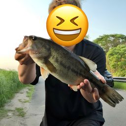 ラージマウスバス