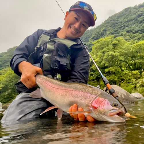 ニジマスの釣果