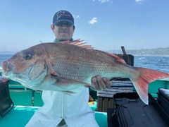マダイの釣果
