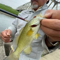 スモールマウスバス