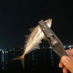 アジ