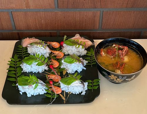 カタクチイワシの釣果