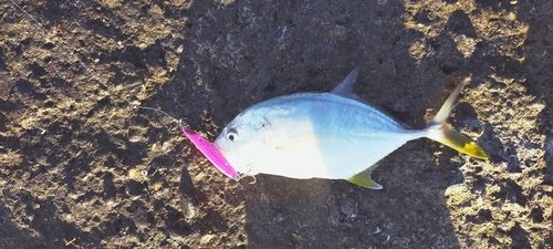 メッキ