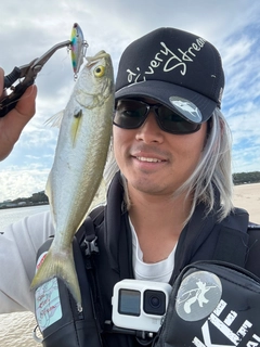 テイラーの釣果