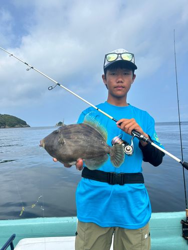 カワハギの釣果