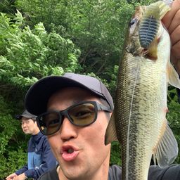 ラージマウスバス