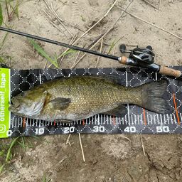 スモールマウスバス