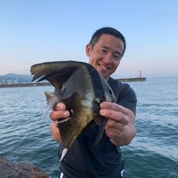 ツバメウオ