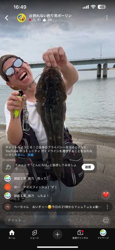 シーバスの釣果