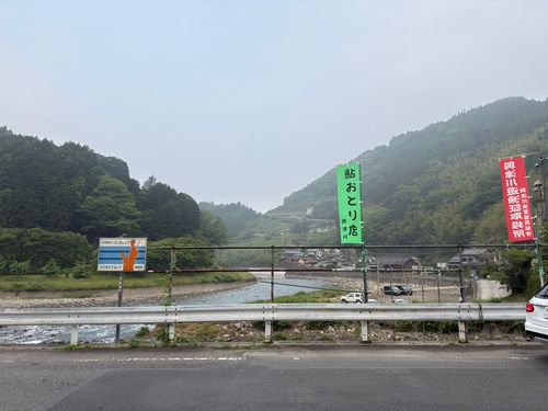 アユの釣果