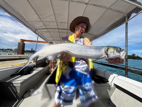 カライワシの釣果