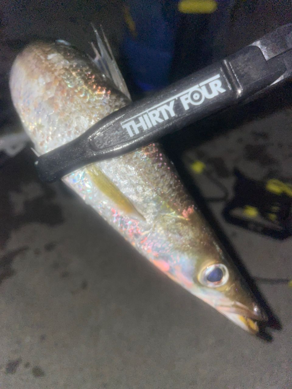 AbuGarcia ソルティーステージ プロトタイプ ベイトフィネス
