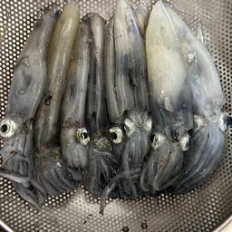 ヒイカ