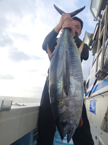 キハダマグロの釣果