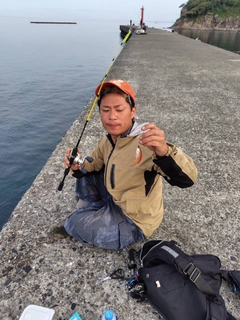 アカササノハベラの釣果