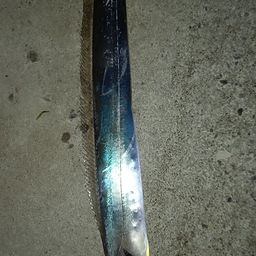 タチウオ
