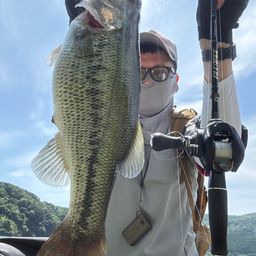 ブラックバス