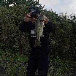 ブラックバス