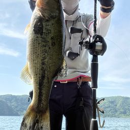 ブラックバス