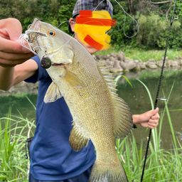 スモールマウスバス