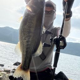 ブラックバス