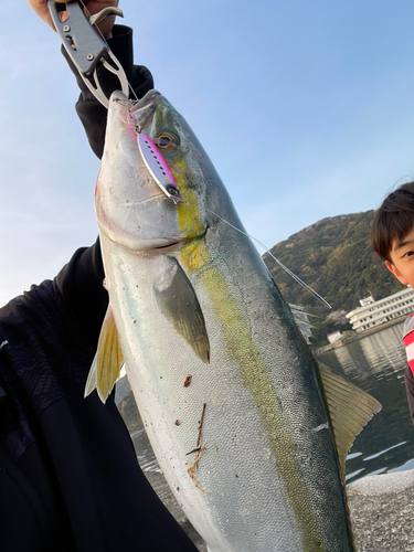 釣り人K02 さんの釣り人プロフィール - アングラーズ | 釣果600