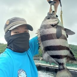 イシダイ