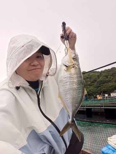 シマアジの釣果