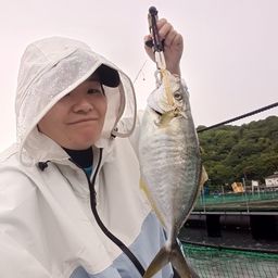 シマアジ