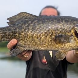 スモールマウスバス