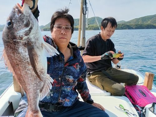 マダイの釣果